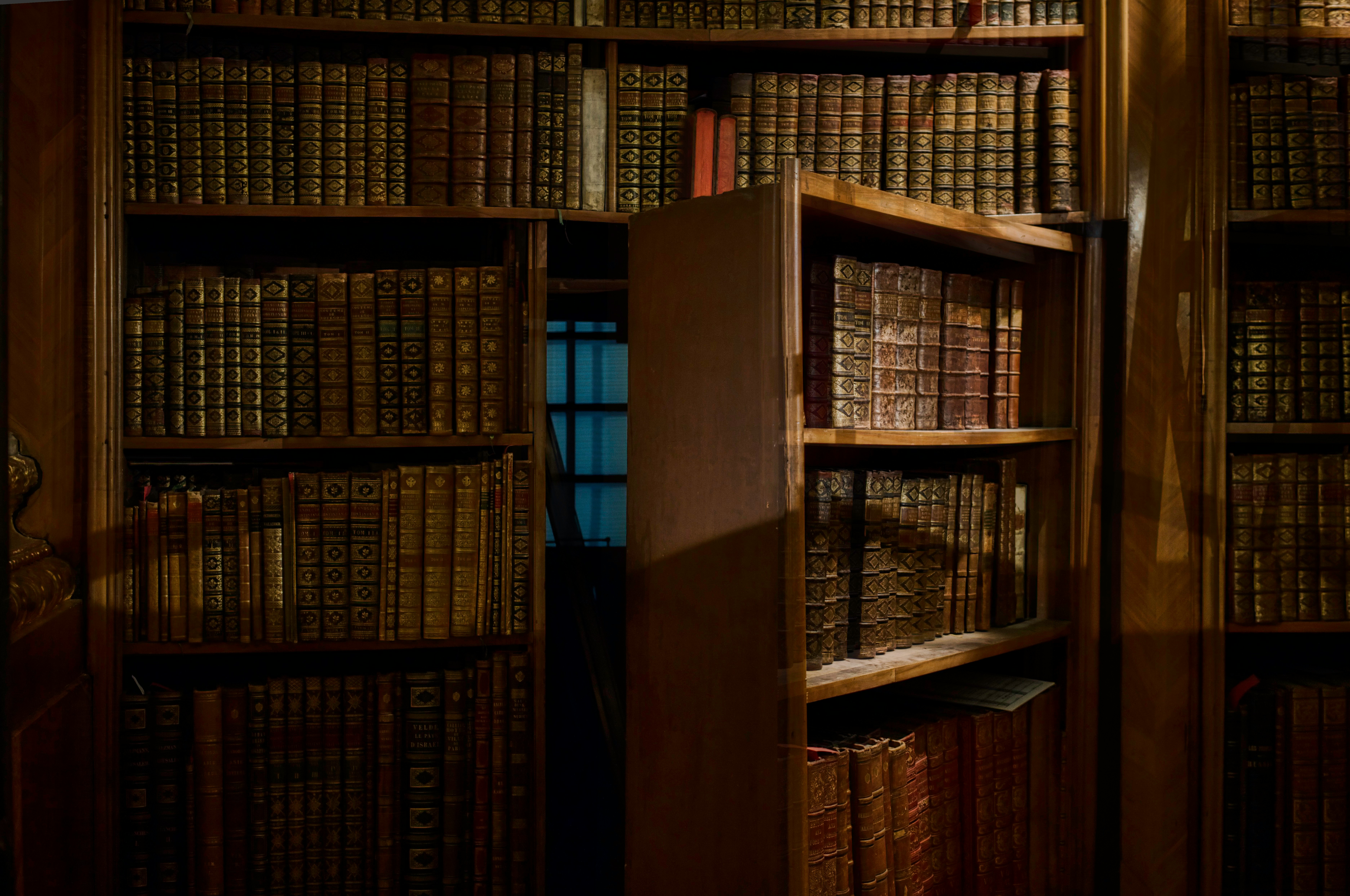 Secret door in dark library